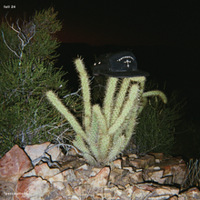 Load image into Gallery viewer, adventure cap